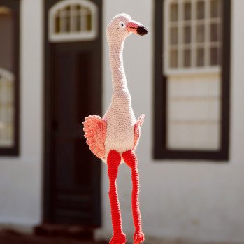 Flamimgo